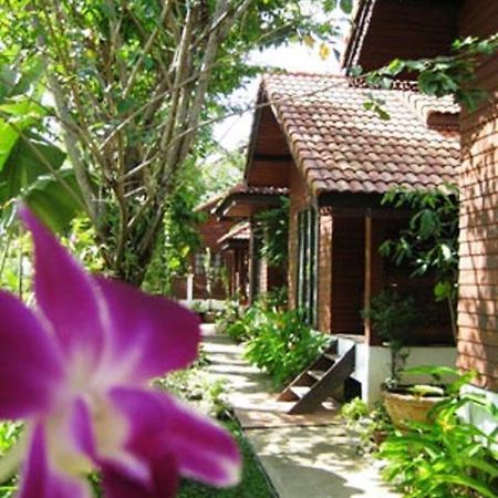 Phu Aroon Guesthouse Sukhothai Rum bild
